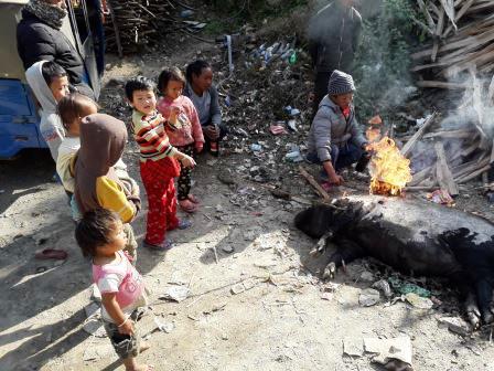 Children around a fire